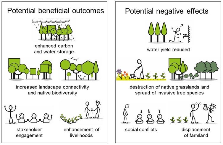 Cartoon showing benefits and harms from tree-planting.