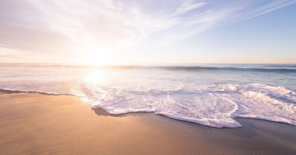 beach ocean socialism