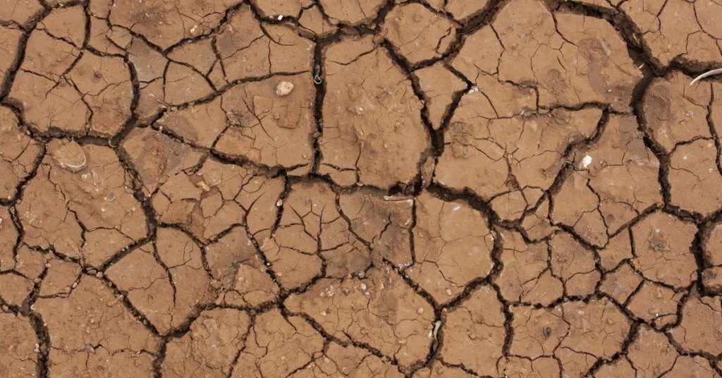Dry cracked mud