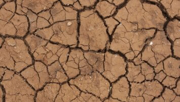 Dry cracked mad