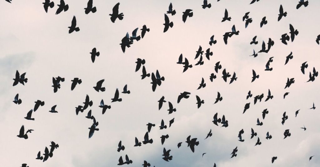 10 times Trump attacked endangered species—and 3 times people fought back 2