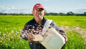 A man standing in a field