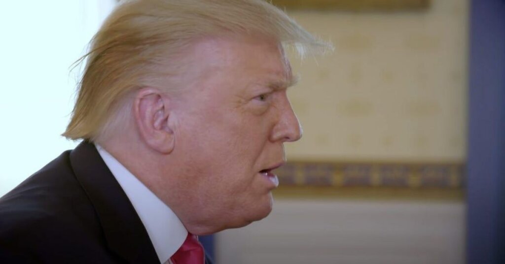 Trump profile shot from the Axios interview