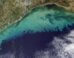 Aerial view of the Gulf of Mexico