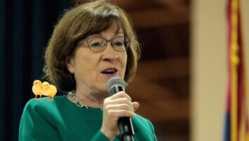 Susan Collins Murders Baby Chicks and the Post Office