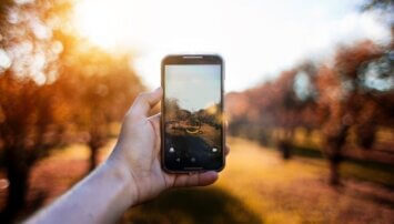 You can now celebrate (and save) bees with this new app