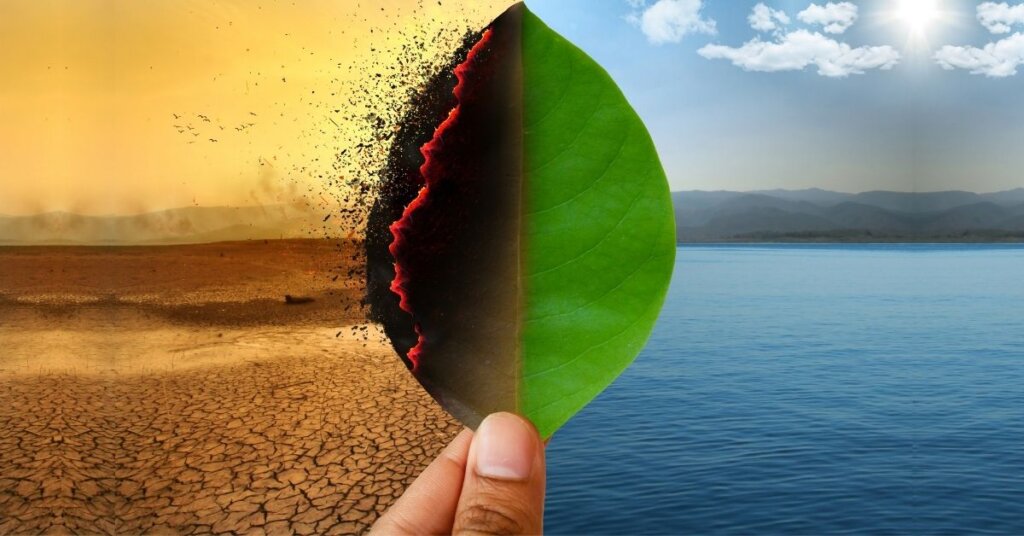 Visual depiction of climate change