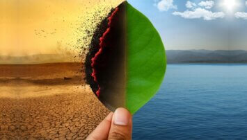 Visual depiction of climate change