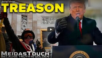 Screenshot of MeidasTouch Treason video